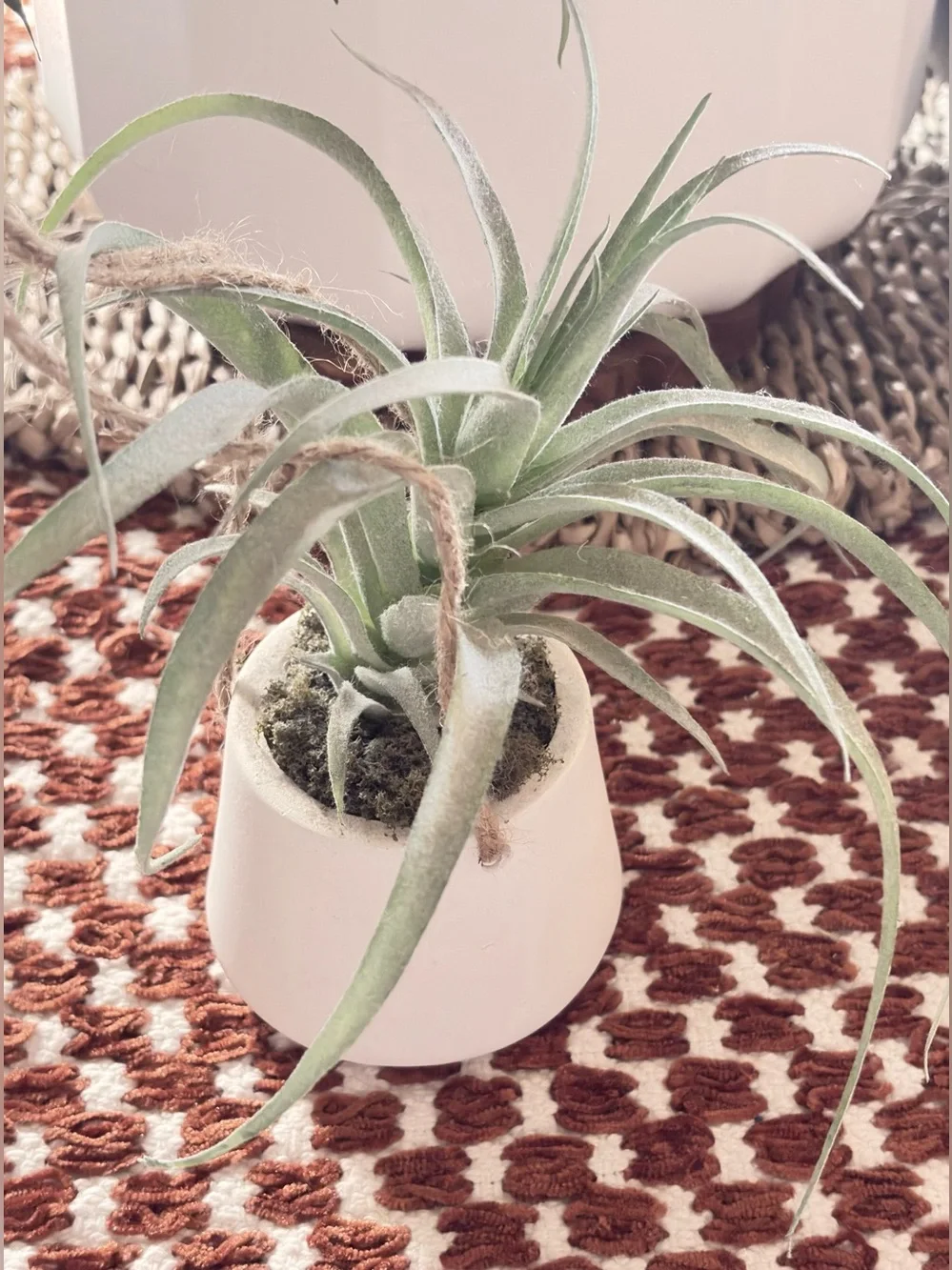 Neutral Green Hanging Faux Air Plant in White Ceramic Pot